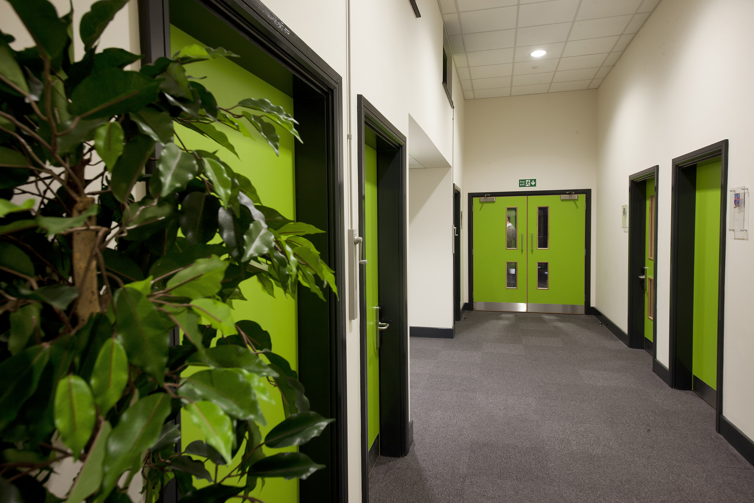 OR Consulting — Petchey Academy Phased Masterplan